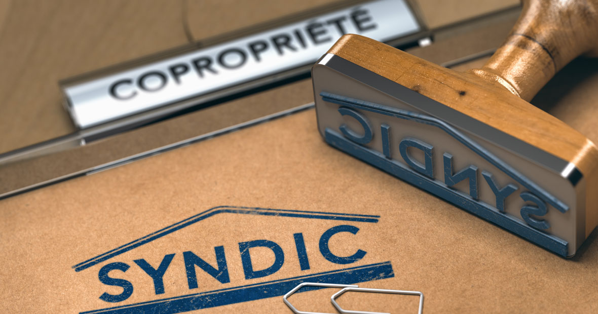 syndic